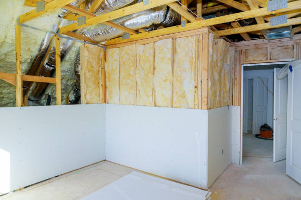Best Specialized Insulation Services in St Paul, VA