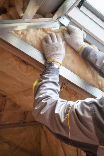 Best Commercial Insulation in St Paul, VA