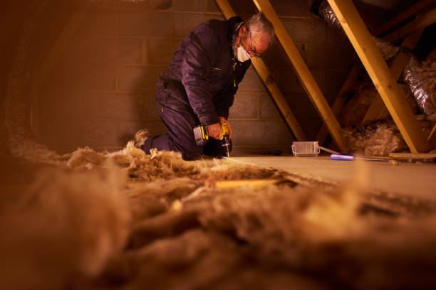 Best Geographic-Specific Insulation Services in St Paul, VA
