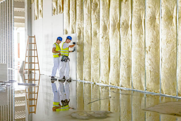 Best Eco-Friendly Insulation in St Paul, VA